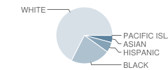 Deptford Township (Twp) High School Student Race Distribution