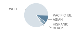 East Hanover Middle School Student Race Distribution