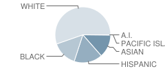 Egg Harbor Township (Twp) High School Student Race Distribution