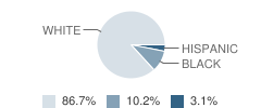 Elsinboro Township (Twp) School Student Race Distribution
