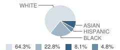 Florence Township (Twp) Mem High School Student Race Distribution