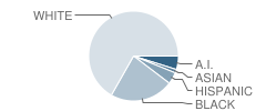 Florence Township (Twp) Middle School Student Race Distribution
