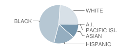 Franklin Township (Twp) High School Student Race Distribution