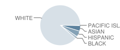 Franklin Township (Twp) School Student Race Distribution