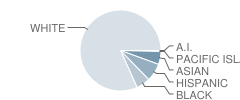 Freehold Township (Twp) High School Student Race Distribution