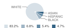 Gloucester Township (Twp) School Student Race Distribution