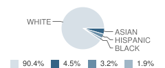 Harding Township (Twp) School Student Race Distribution