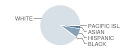 Hope Township (Twp) School Student Race Distribution