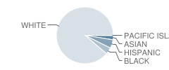 Howell Township (Twp) Middle School South Student Race Distribution