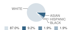 Torey J Sabatini School Student Race Distribution