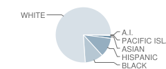 Manchester Township (Twp) Elementary School Student Race Distribution