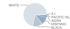 Manchester Township (Twp) Middle School Student Race Distribution