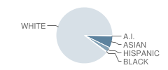 Mendham Township (Twp) Elementary School Student Race Distribution