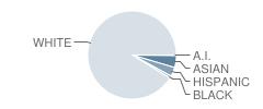 Mendham Township (Twp) Middle School Student Race Distribution