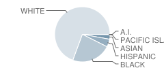 Middle Township (Twp) Elementary 2 School Student Race Distribution