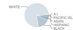 Middle Township (Twp) High School Student Race Distribution
