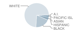 Middle Township (Twp) Elementary No 4 School Student Race Distribution