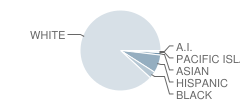 Thorne Middle School Student Race Distribution