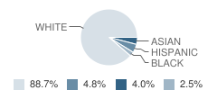 Millstone Township (Twp) Elementary School Student Race Distribution