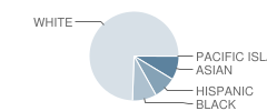 Ocean Township (Twp) Intermediate School Student Race Distribution