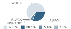 Troy Hills School Student Race Distribution