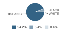 Number 8 Pulaski School Student Race Distribution