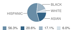 Number 19 School Student Race Distribution