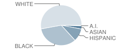 Pemberton Township (Twp) High School Student Race Distribution