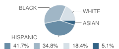 Delair School Student Race Distribution