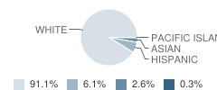 Stephen J Gerace School Student Race Distribution