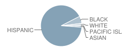 Hn Richardson 21th Century School Student Race Distribution