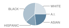 Piscataway Township (Twp) High School Student Race Distribution