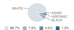 Pittsgrove Township (Twp) Middle School Student Race Distribution