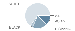 Thomas Jefferson Middle School Student Race Distribution