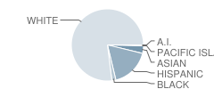 Long Memorial School Student Race Distribution