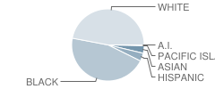 Maplewood Middle School Student Race Distribution
