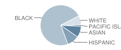 Franklin School Student Race Distribution