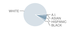Vernon Township (Twp) High School Student Race Distribution