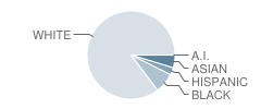 Washington Township (Twp) High School Student Race Distribution