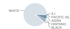 Packanack School Student Race Distribution
