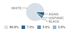 Randall Carter School Student Race Distribution