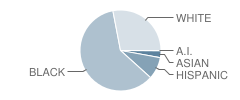 Winslow Township (Twp) Middle School Student Race Distribution