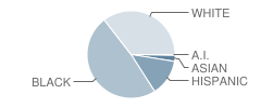 Winslow Township (Twp) School No 1 Student Race Distribution