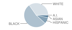 Winslow Township (Twp) School No 5 Student Race Distribution