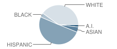 Tierra Antigua Elementary School Student Race Distribution