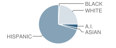 Alvarado Elementary School Student Race Distribution