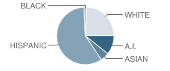 Edmund G Ross Elementary School Student Race Distribution