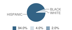 Valley Middle School Student Race Distribution