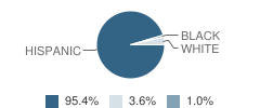 W Las Vegas Middle School Student Race Distribution