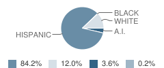 Tome Elementary School Student Race Distribution